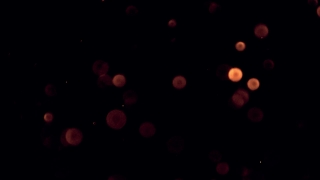 Light, Star, Night, Shiny, Space, Glow