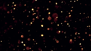 Firework, Star, Night, Light, Space, Stars