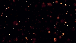 Star, Night, Celestial Body, Stars, Space, Light
