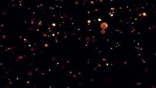 Star, Firework, Night, Space, Light, Stars