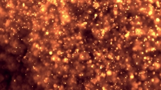 Firework, Explosive, Star, Night, Light, Design