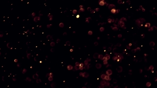 Firework, Star, Explosive, Night, Light, Stars