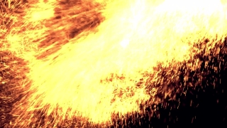 Heat, Sun, Sky, Dandelion, Light, Landscape