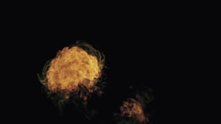 Jellyfish, Flame, Fire, Heat, Invertebrate, Smoke