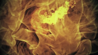 Flame, Yellow, Spaghetti Squash, Orange, Fire, Heat