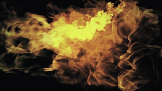 Jellyfish, Flame, Invertebrate, Fire, Heat, Burn