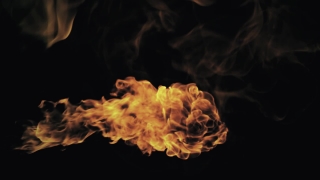 Flame, Fire, Heat, Jellyfish, Blaze, Burn