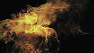 Jellyfish, Flame, Fire, Invertebrate, Burn, Hot