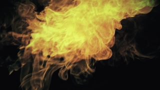 Jellyfish, Invertebrate, Flame, Smoke, Light, Animal
