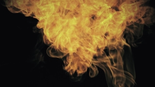 Terrier, Hunting Dog, Dog, Flame, Smoke, Light