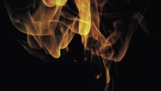 Jellyfish, Fire, Flame, Burn, Heat, Hot