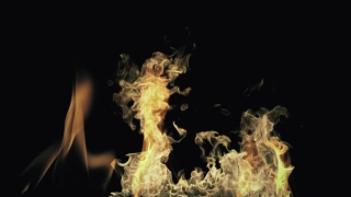 Fire, Flame, Burn, Heat, Hot, Simpleton