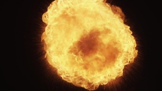 Food, Coconut, Nuclear Weapon, Hot, Heat, Weapon Of Mass Destruction