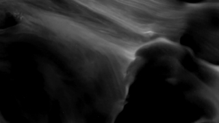 Black, Dark, Body, Skin, Sexy, Light