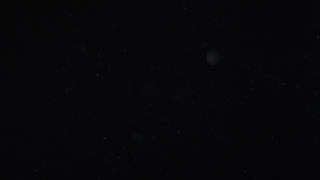 Star, Celestial Body, Space, Astronomy, Stars, Night