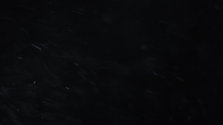 Star, Celestial Body, Space, Light, Black, Dark