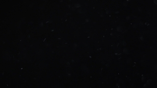 Star, Celestial Body, Night, Space, Astronomy, Dark