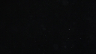 Star, Celestial Body, Space, Night, Astronomy, Stars