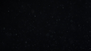 Star, Celestial Body, Space, Stars, Night, Astronomy
