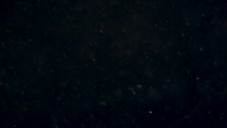 Star, Celestial Body, Space, Night, Stars, Astronomy