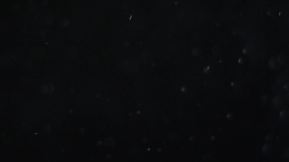 Star, Celestial Body, Space, Astronomy, Night, Stars