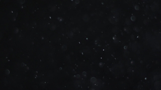 Star, Celestial Body, Space, Stars, Astronomy, Night