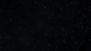 Star, Celestial Body, Space, Stars, Astronomy, Night
