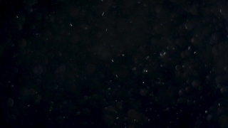 Star, Celestial Body, Space, Stars, Night, Astronomy