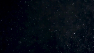 Star, Celestial Body, Space, Stars, Astronomy, Night