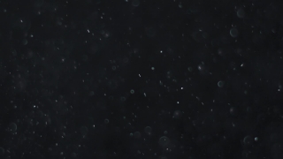 Star, Celestial Body, Space, Stars, Night, Astronomy