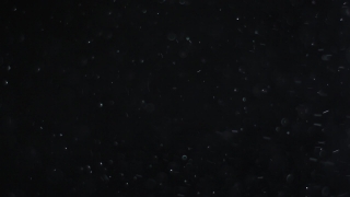 Star, Celestial Body, Space, Night, Stars, Astronomy