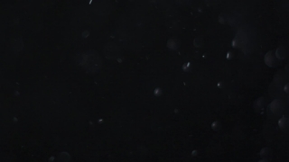 Star, Celestial Body, Space, Stars, Astronomy, Night