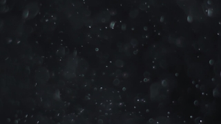 Star, Stars, Space, Night, Celestial Body, Galaxy