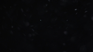 Star, Celestial Body, Light, Black, Space, Night