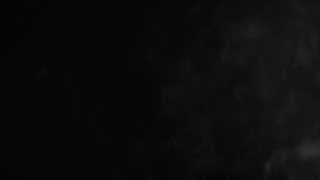 Baby, Fetus, Space, Moon, Vertebrate, Black