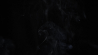 Black, Smoke, Dark, Light, Art, Dog