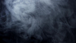 Dog, Terrier, Shepherd Dog, Smoke, Hunting Dog, Canine
