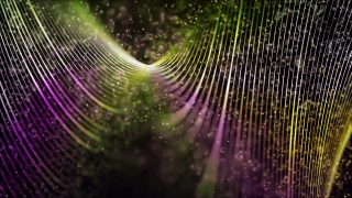 Spider Web, Web, Trap, Cobweb, Light, Wallpaper