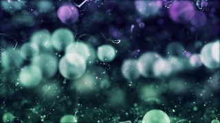 Light, Glow, Wallpaper, Jellyfish, Design, Night