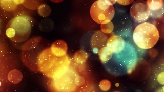 Firework, Confetti, Light, Star, Design, Night