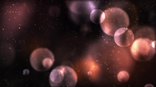 Star, Firework, Night, Space, Galaxy, Stars