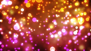 Firework, Confetti, Explosive, Design, Light, Paper