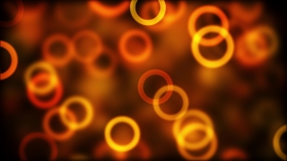 Firework, Explosive, Design, Pattern, Wallpaper, Sea Squirt