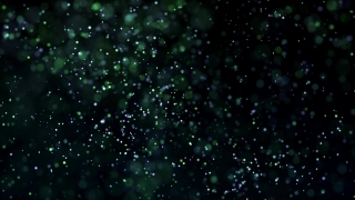 Star, Spider Web, Stars, Web, Night, Space
