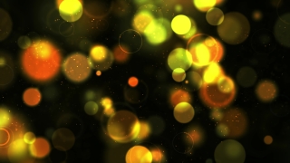 Light, Bright, Glow, Night, Celebration, Sparkle