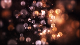 Light, Night, Firework, Invertebrate, Star, Space