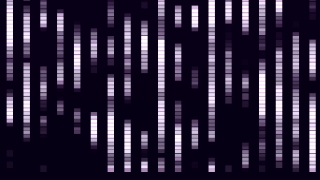 Equalizer, Electronic Equipment, Equipment, Graphic, Design, Business