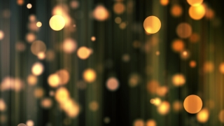 Spotlight, Lamp, Light, Source Of Illumination, Lighting, Night