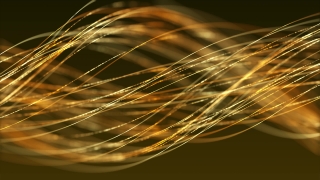Wheat, Light, Design, Fiber, Shape, Motion
