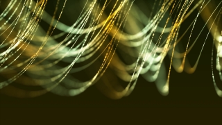 Spider Web, Cobweb, Web, Trap, Spider, Shape